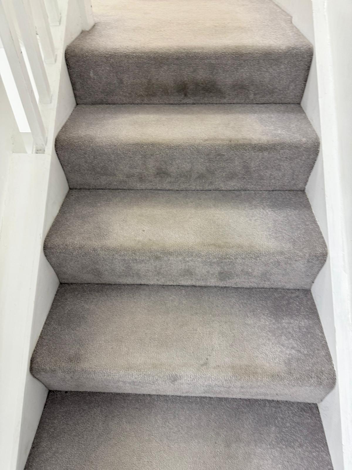 Stained communal staircase carpet before deep cleaning